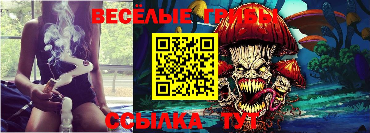 Псилоцибиновые грибы GOLDEN TEACHER Нерюнгри