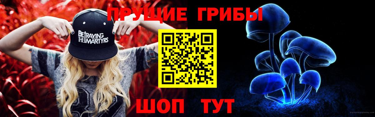 наркота  Вход с VPN  Нерюнгри  Галлюциногенные грибы Psilocybine cubensis 