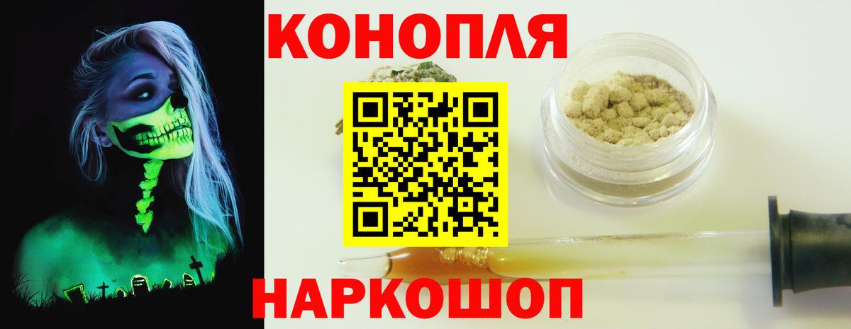 Бошки Шишки планчик Нерюнгри